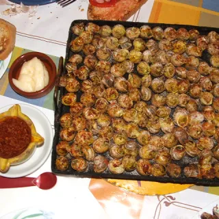 Cargols a la llauna
