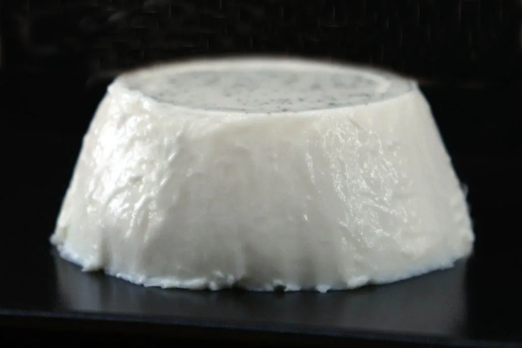 Panna cotta